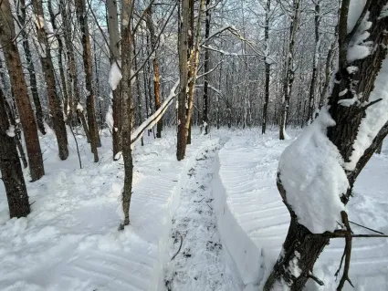 «Новое Растуново»: зимние прогулки и безопасный въезд.