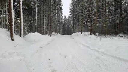 Зимний порядок в «Рига Лес»