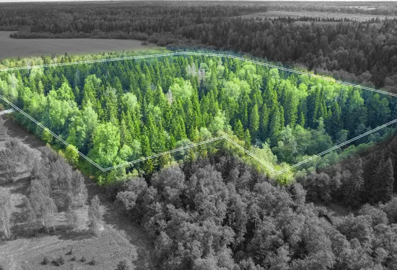РигаЛес