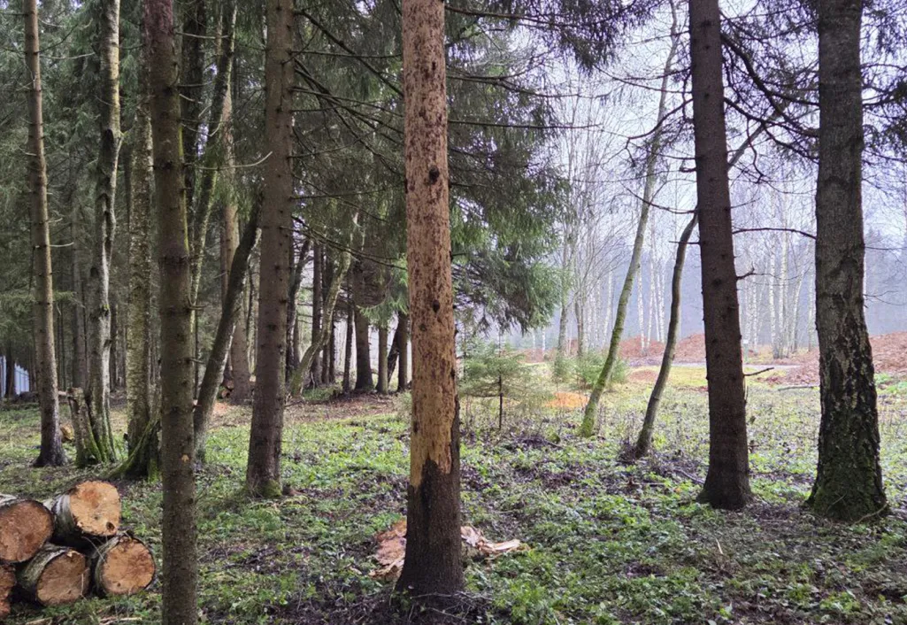 КП «Каретный ряд»: подготовка к зимнему сезону и дальнейшее благоустройство