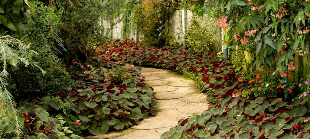 Дорожка из тротуарной плитки своими руками – пошаговая инструкция