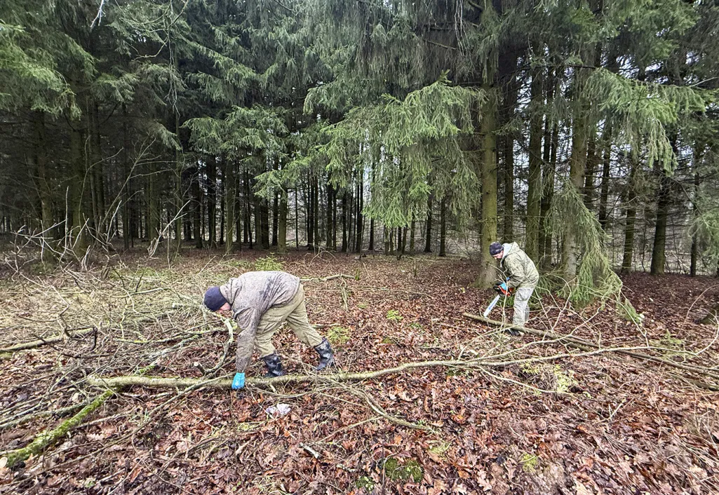 КП «Артёмово ИЖС»: забота о зелёных зонах — чистота и порядок на территории