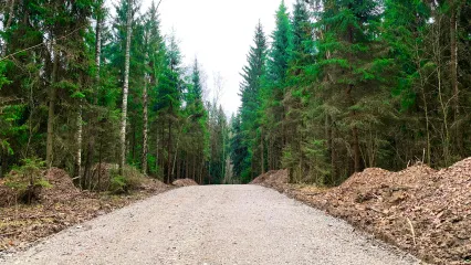 «РигаЛес»: проведена трамбовка щебня на внутрипоселковых дорогах.