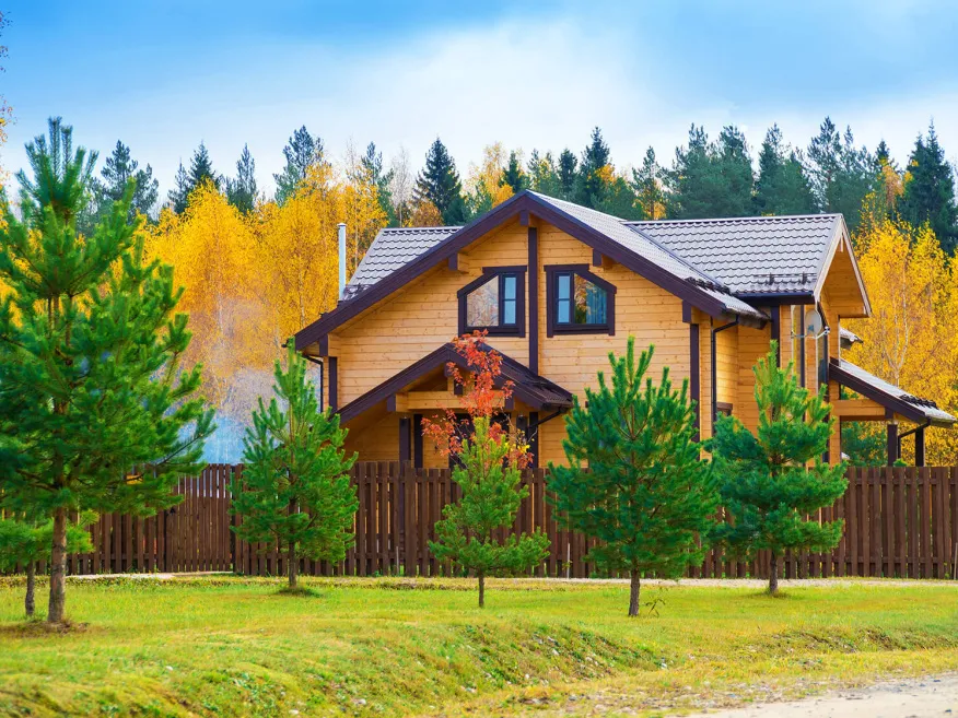 Участок рядом с лесом: стоит ли выбирать