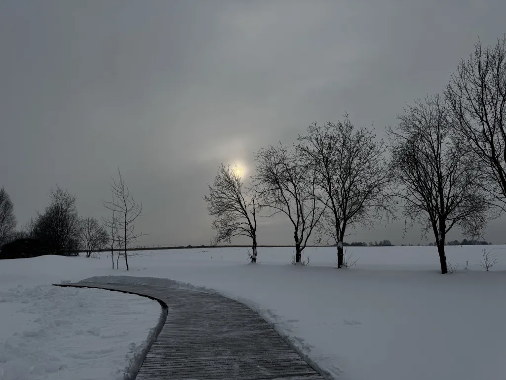 КП «Грибоедово»: благоустроили зону набережной.