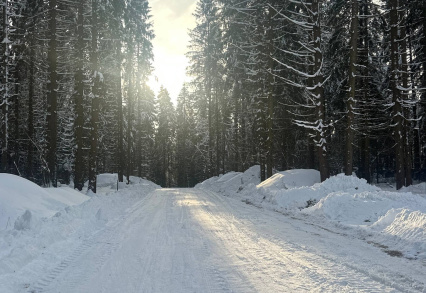 «Рига Лес»: подготовили лыжню и расчистили дороги