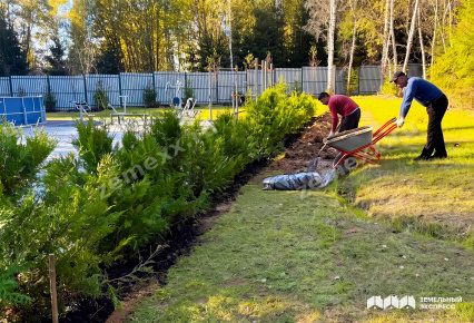 КП «Каретный Ряд»: озеленение парковой зоны