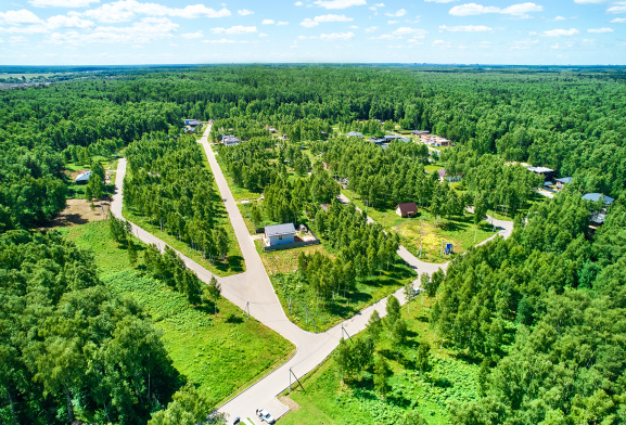 Лесной остров