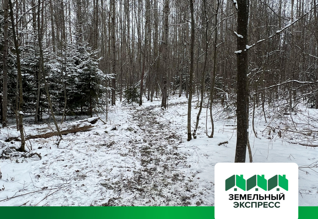 КП "Артёмово ИЖС" благоустройство территории