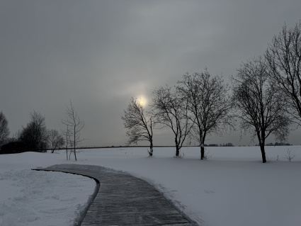 КП «Грибоедово»: благоустроили зону набережной.