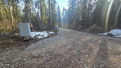 Электрификация в КП «РигаЛес» выполнена на 50 %