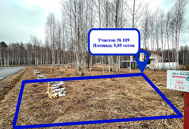 Лесной остров, Участок № 109