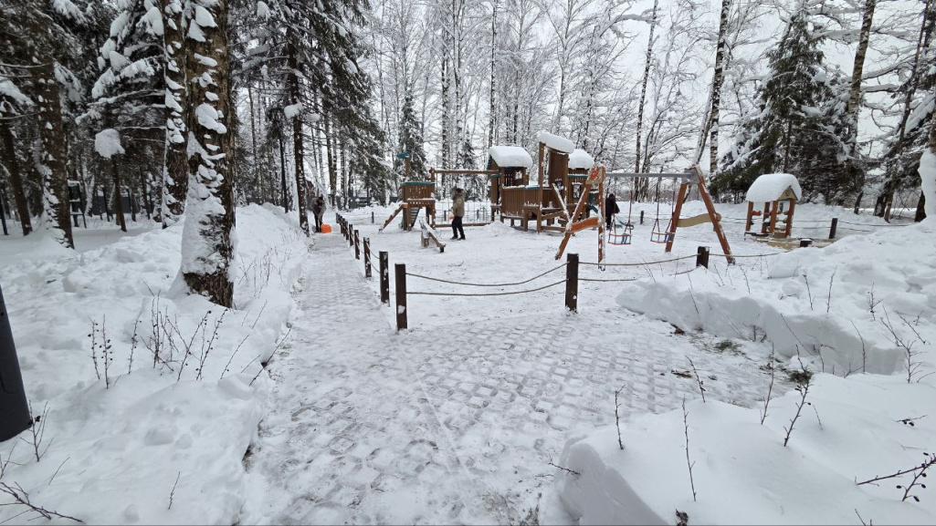 Чистка зон общего пользования от снега в «ПриЛесном»