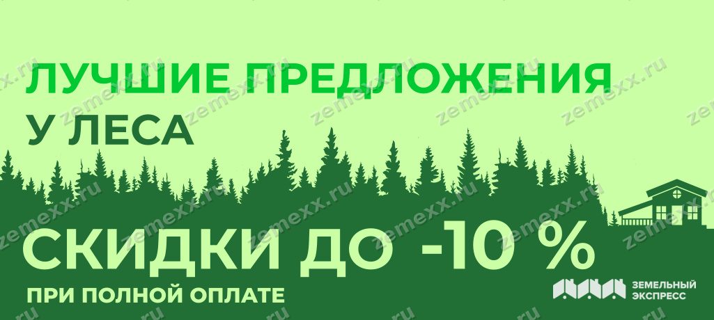 Лучшие предложения у леса