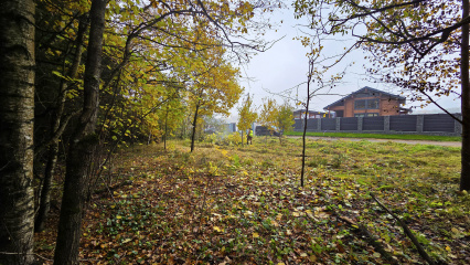 В «Триумфальном» продолжается уход за территорией