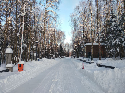 КП «ПриЛесной»: зима в красоте и порядке