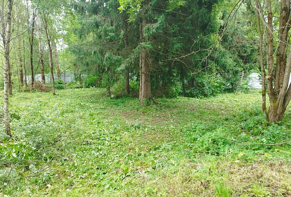 Астра