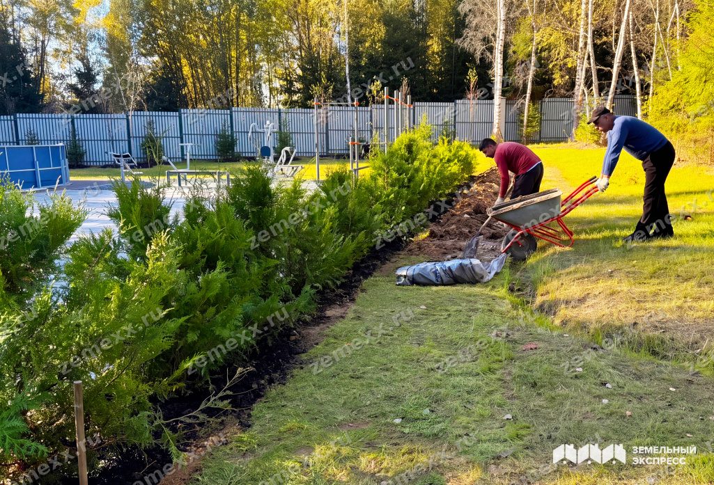 КП «Каретный Ряд»: озеленение парковой зоны