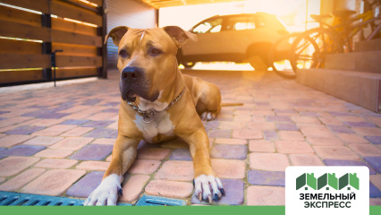 Охрана в Матчино Парк