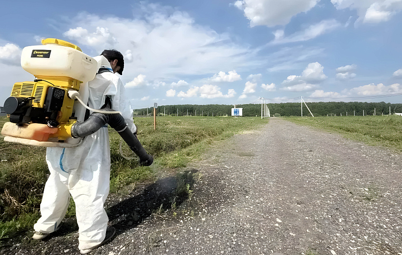 КП «Грибоедово»: обработка растительности