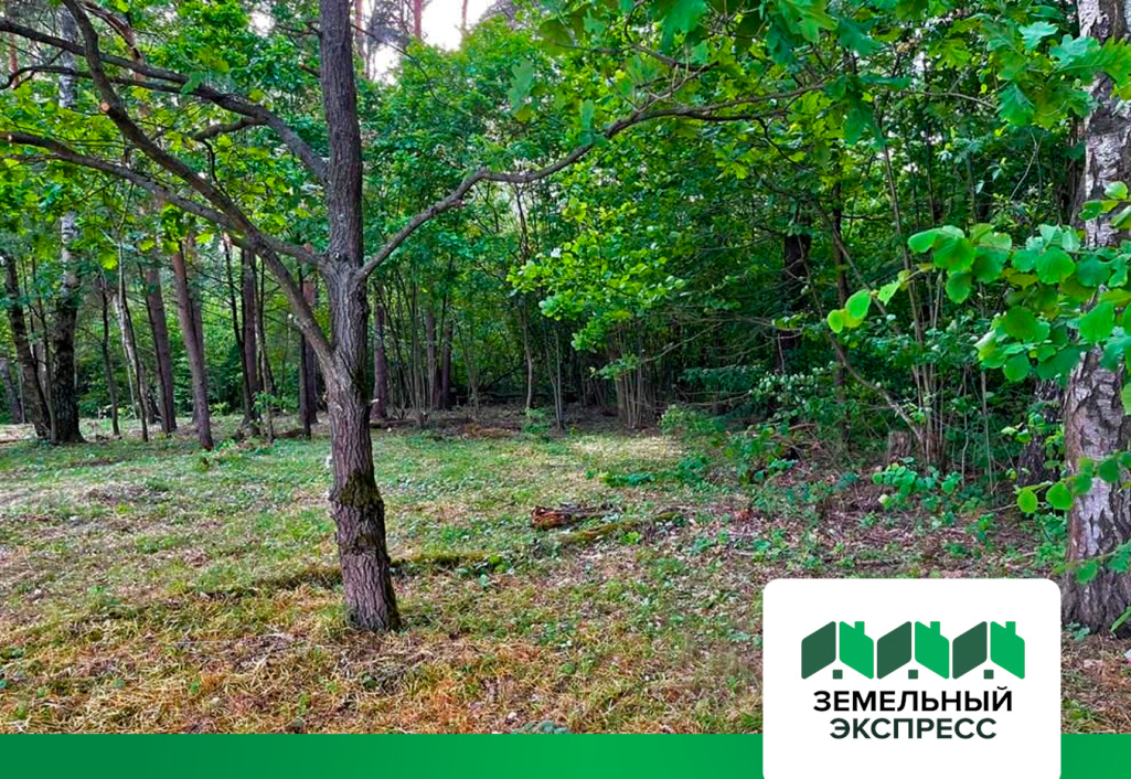 Лесные участки в поселке «Династия»
