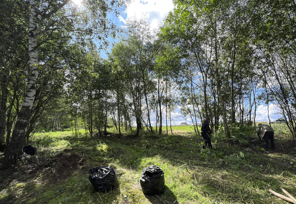 Благоустройство прибрежной зоны в КП «Есенино»