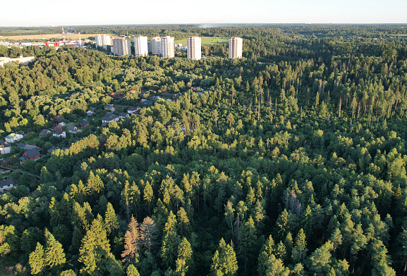 Формула