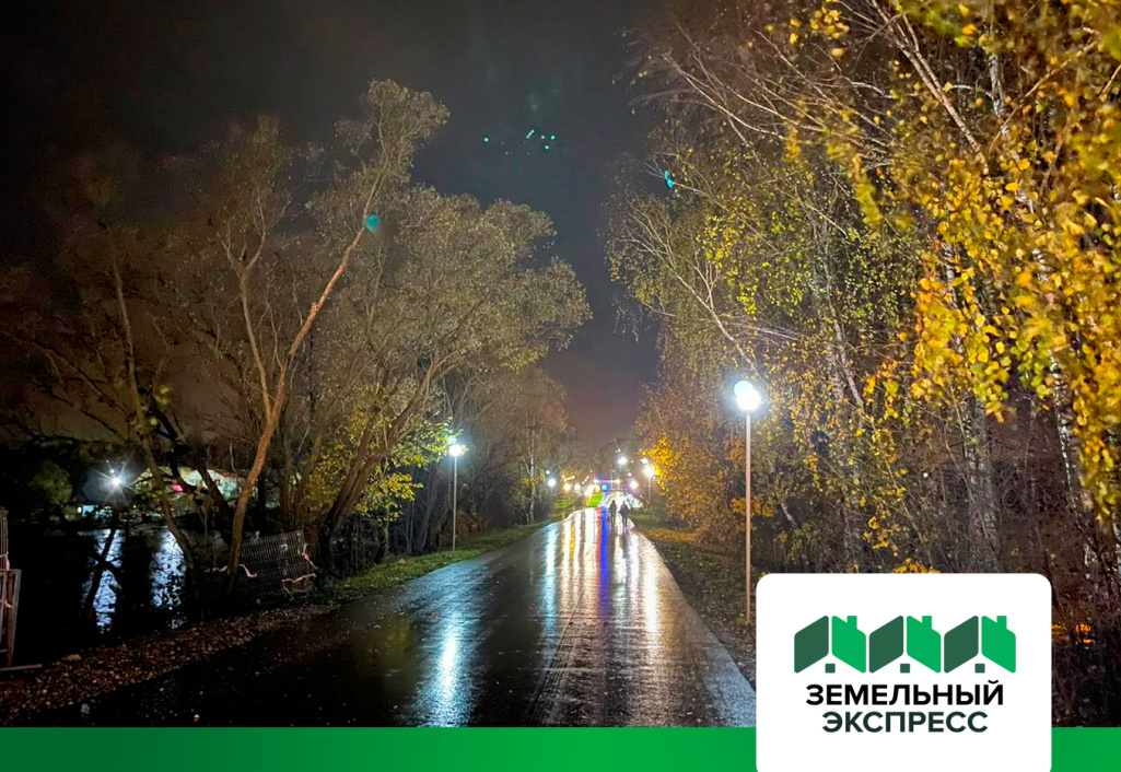 Освещение на подъездной дороге к поселку «Династия»