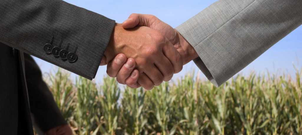 Что нужно знать про объединение участков. В каких случаях объединить участки не получится