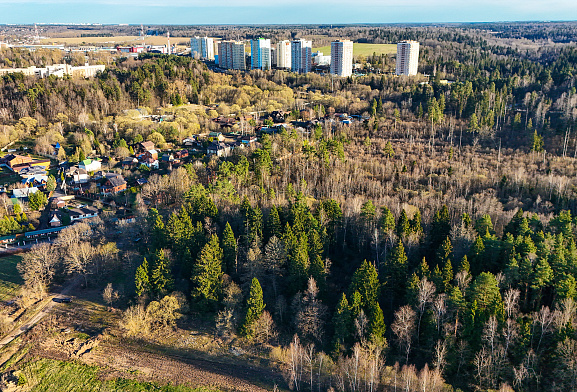 Формула