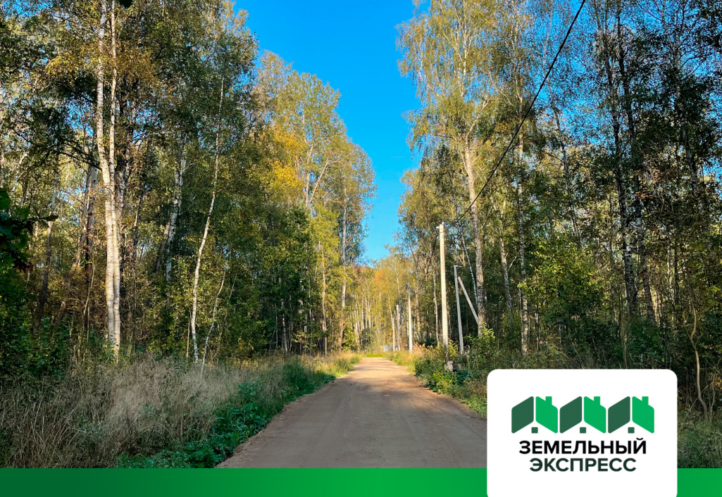 Произвели локальный ремонт лесных дорог в поселке «Степыгино ИЖС 2»