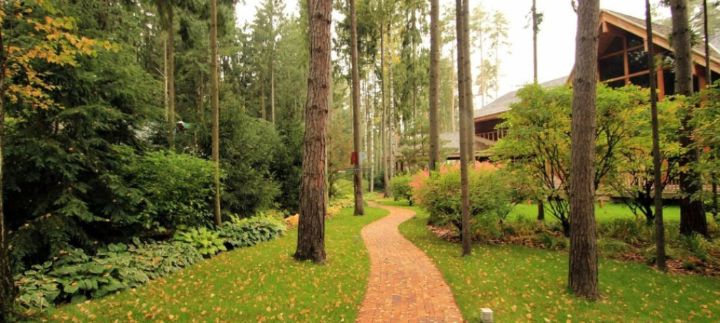 Участок у леса, в поле, у воды. Хорошо или плохо?