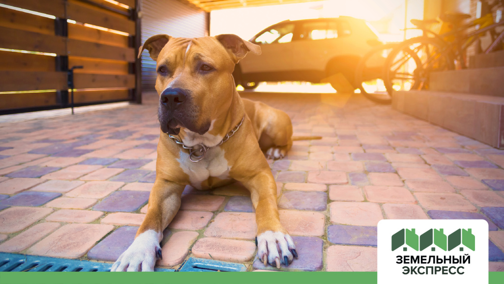 Охрана в Матчино Парк