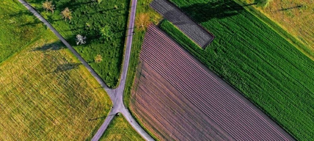 ИЖС, СНТ, ЛПХ – в чем разница?