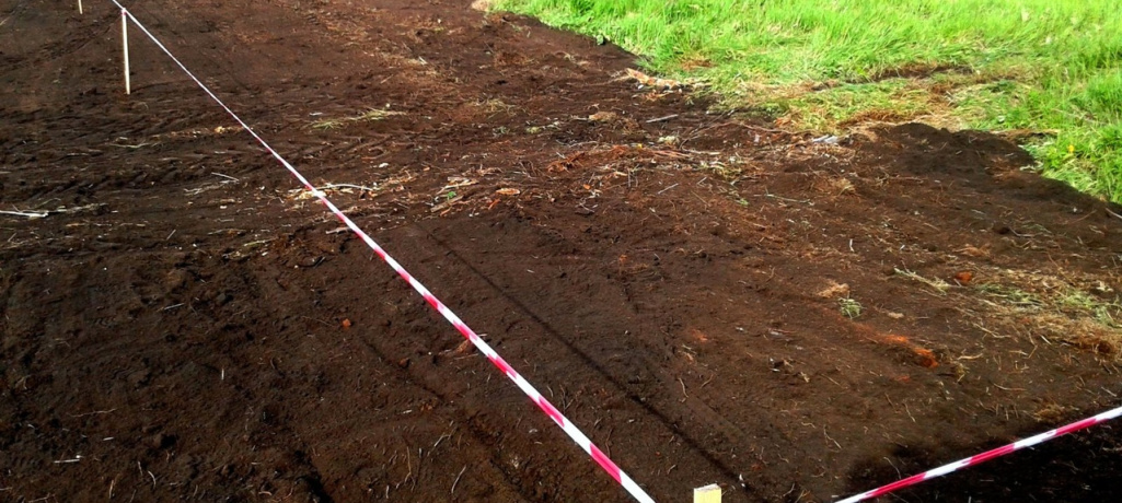 Нет границ участка на кадастровой карте: причины и способы решения проблемы