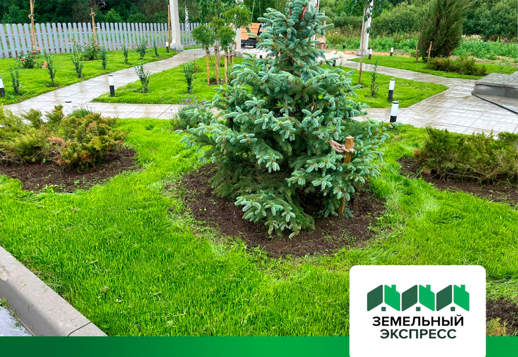 Работы по покосу газона в поселке «Династия»