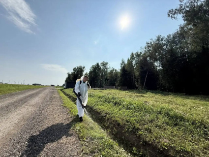 «Артёмово ИЖС»: уход за зелеными насаждениями