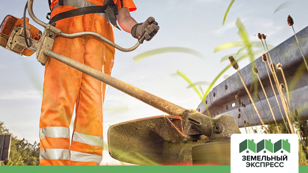 Новые дополнительные услуги