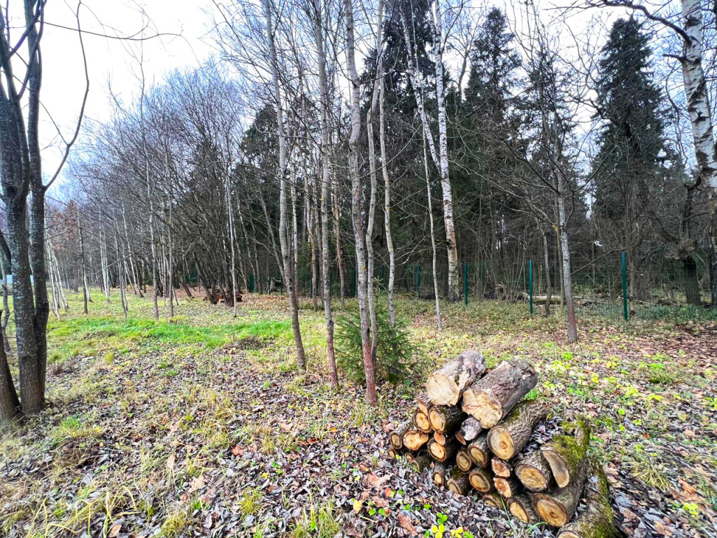 «Триумфальный»: проведены плановые работы по благоустройству