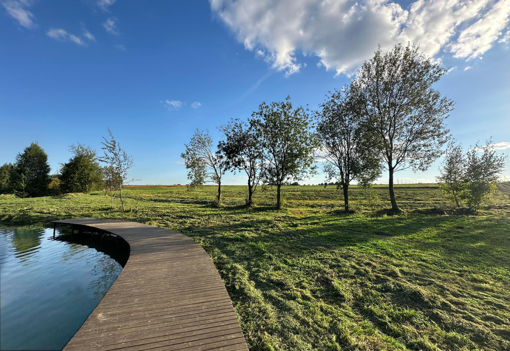 Благоустройство береговой зоны КП «Грибоедово»