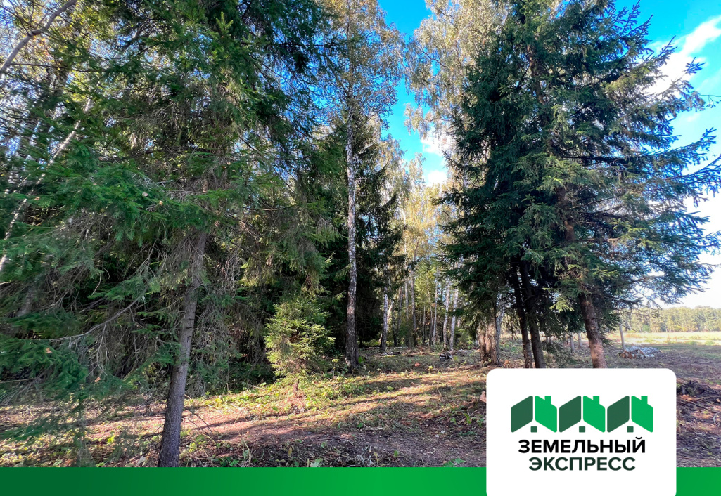 "Субботник" на прилесных участках в "Артемово ИЖС"